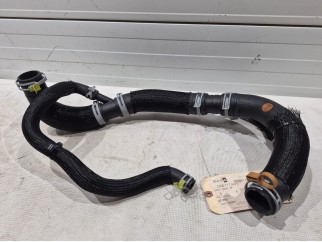 Lower Hose
